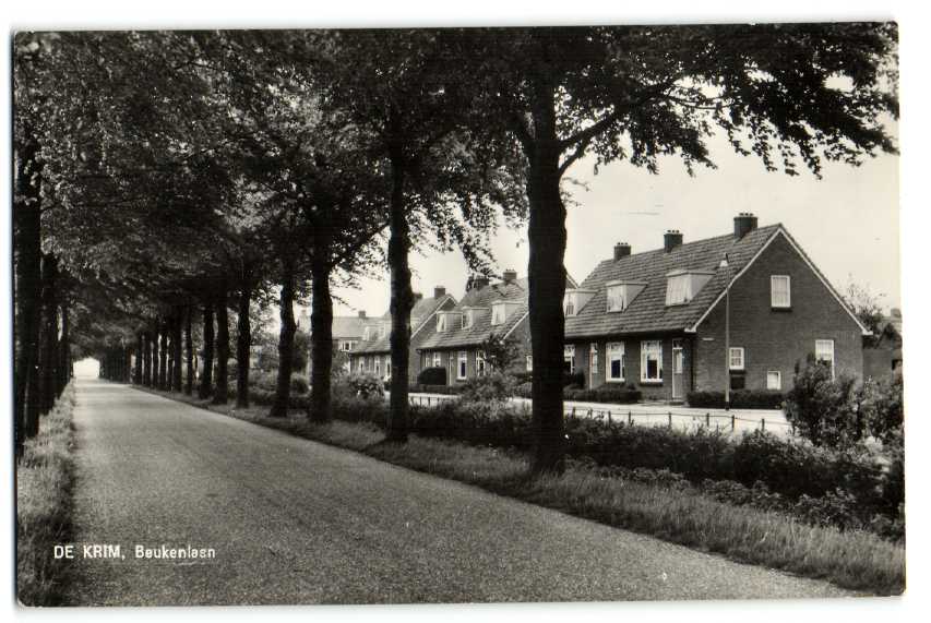 kaart