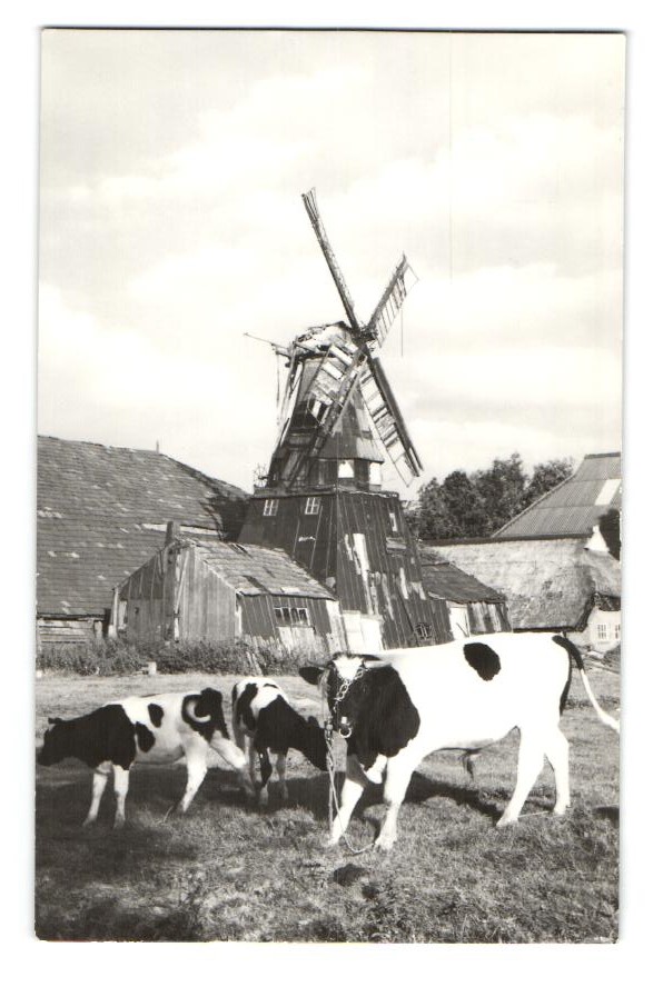 kaart
