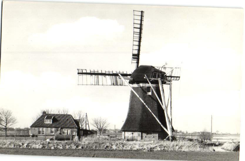 kaart