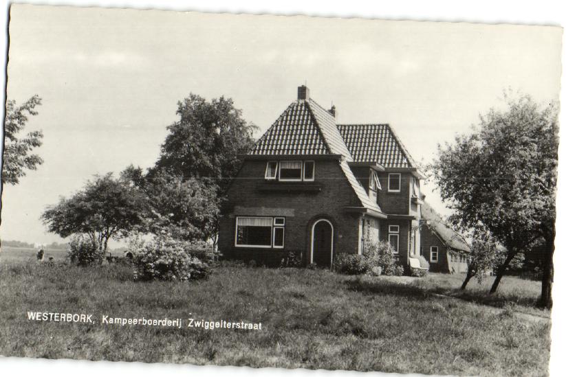 kaart