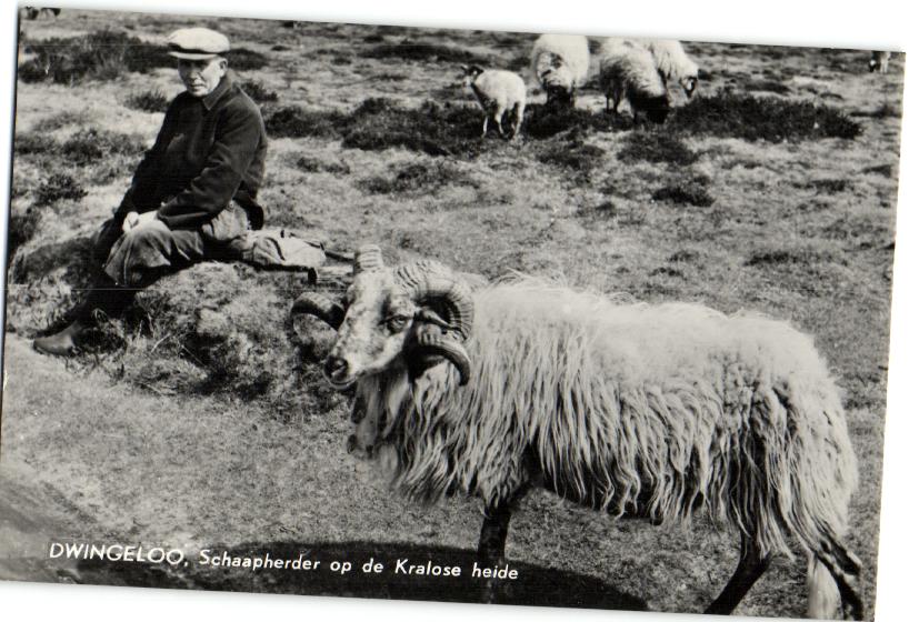 kaart