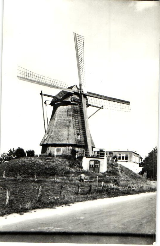 kaart