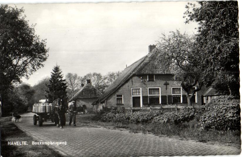 kaart