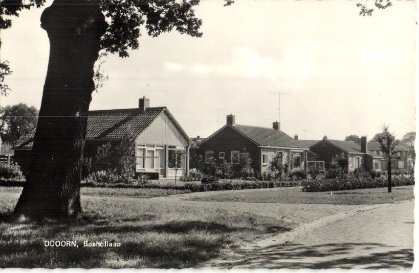 kaart