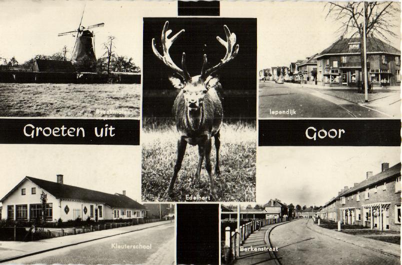 kaart