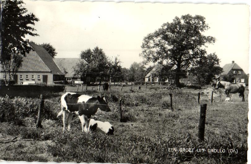 kaart