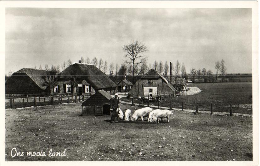 kaart