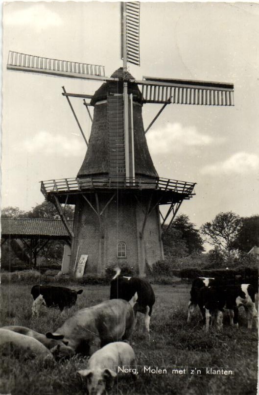 kaart