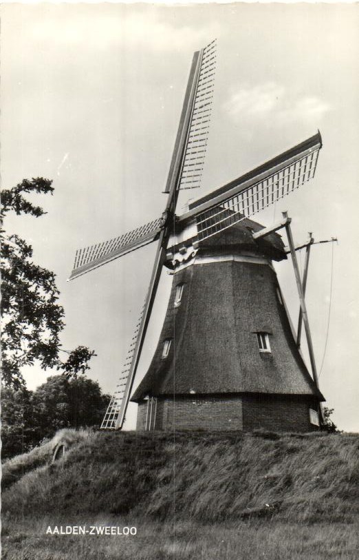 kaart