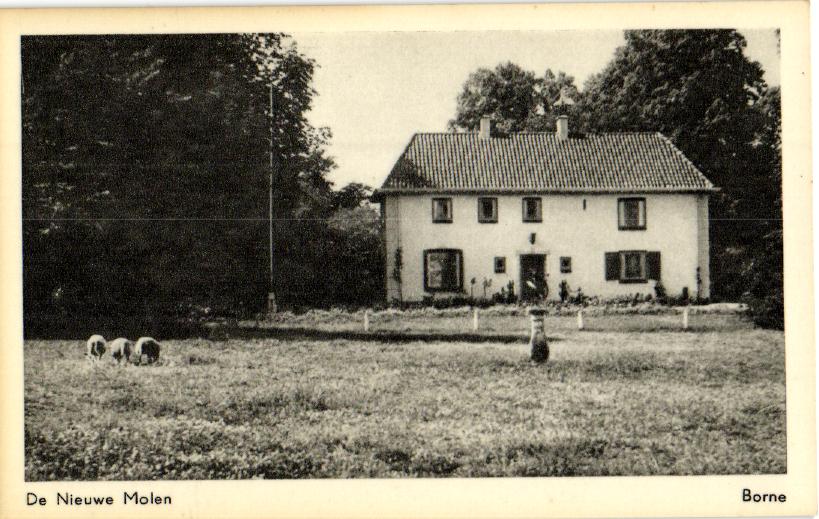 kaart