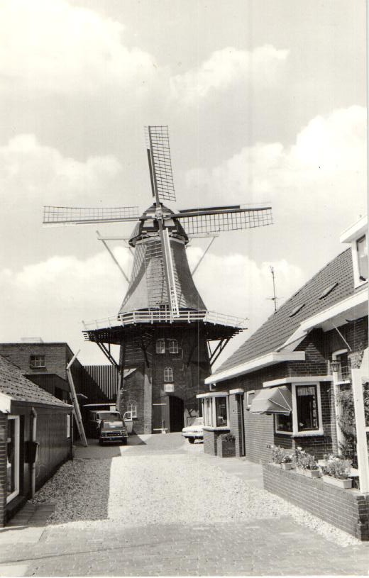 kaart