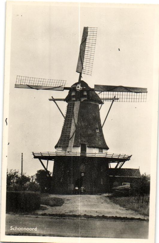 kaart