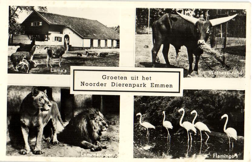 kaart