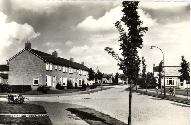 kaart