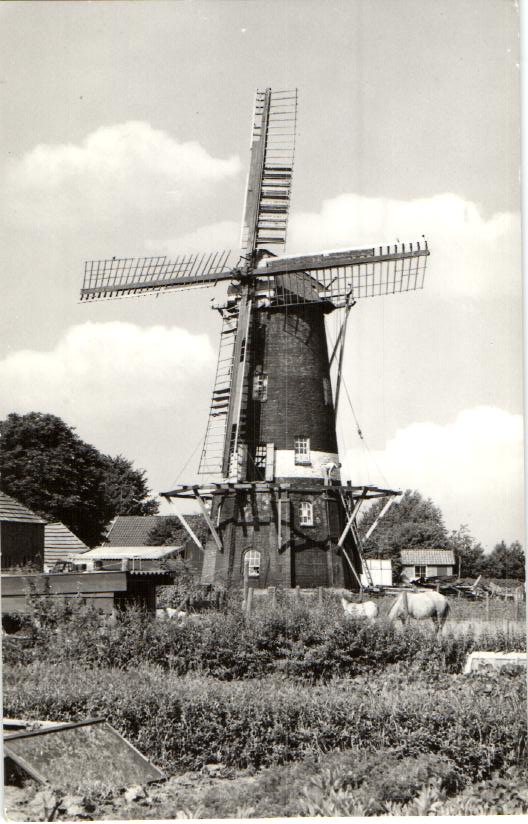 kaart