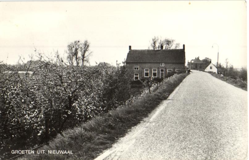 kaart