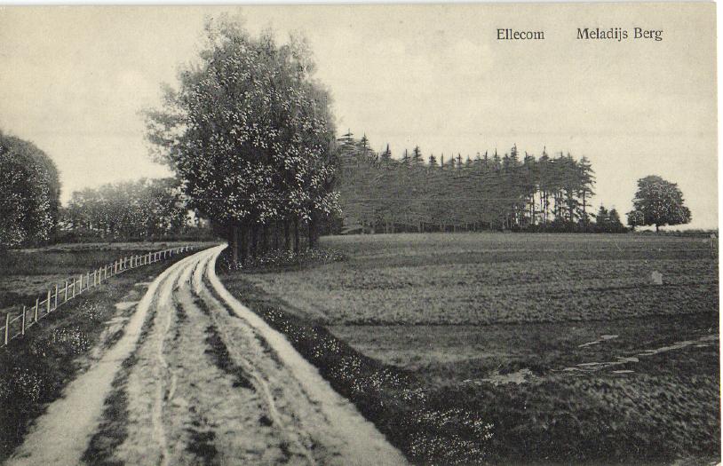 kaart
