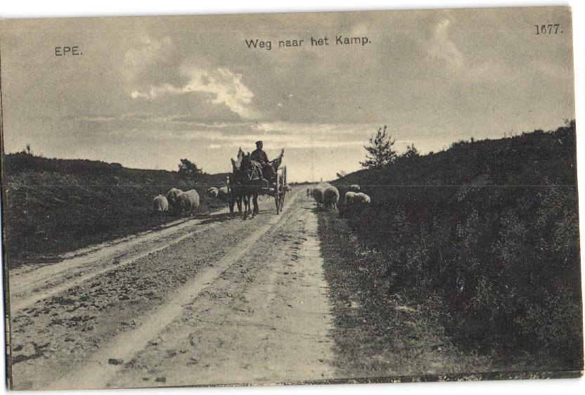 kaart
