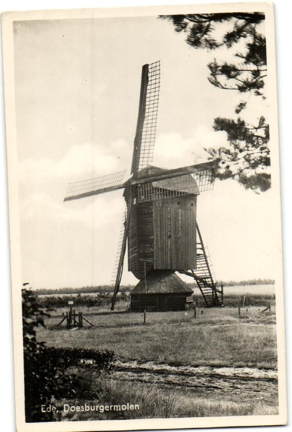 kaart