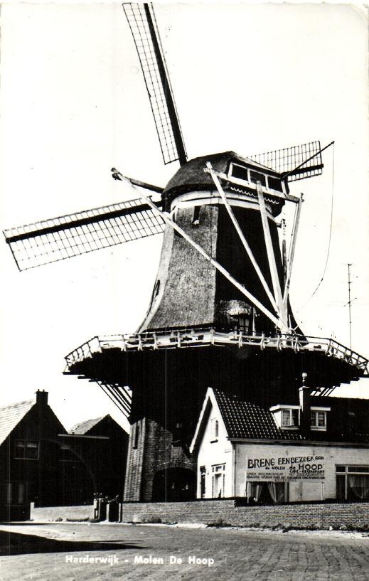 kaart