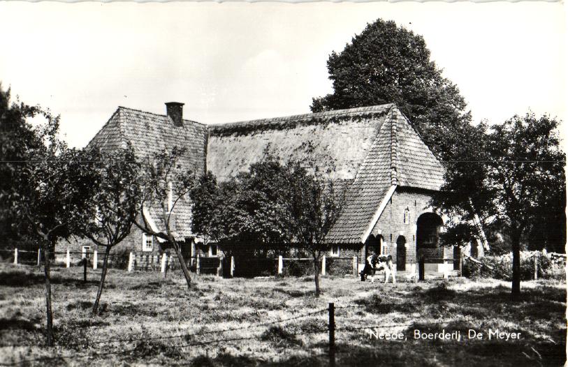 kaart