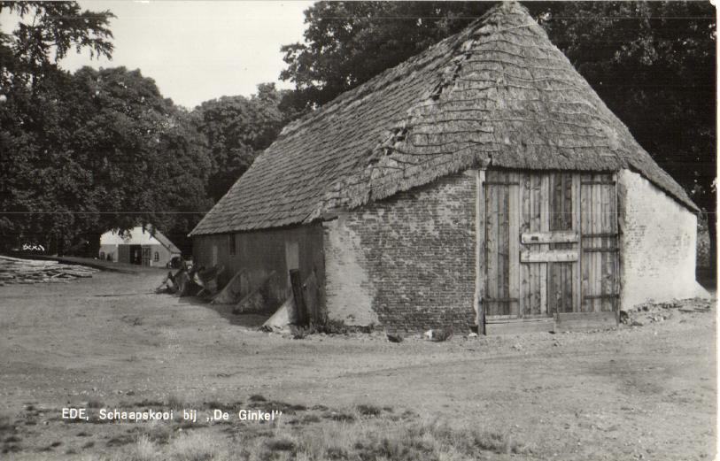 kaart