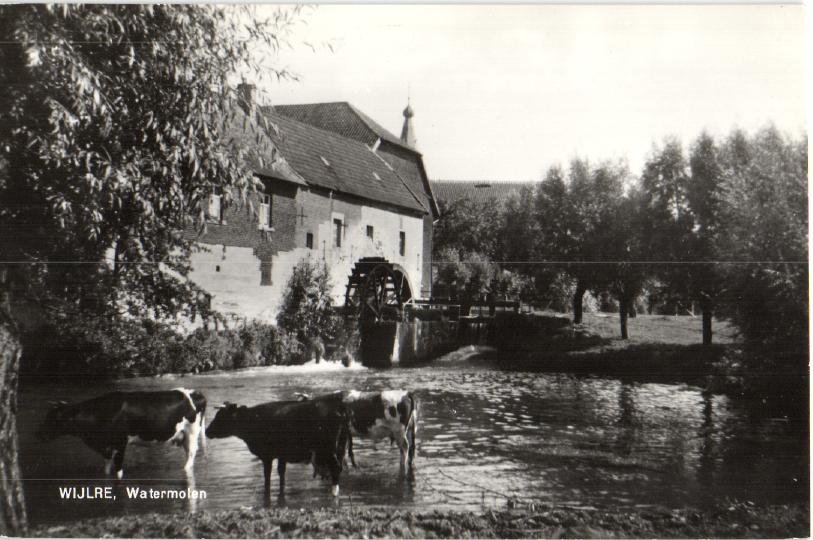 kaart