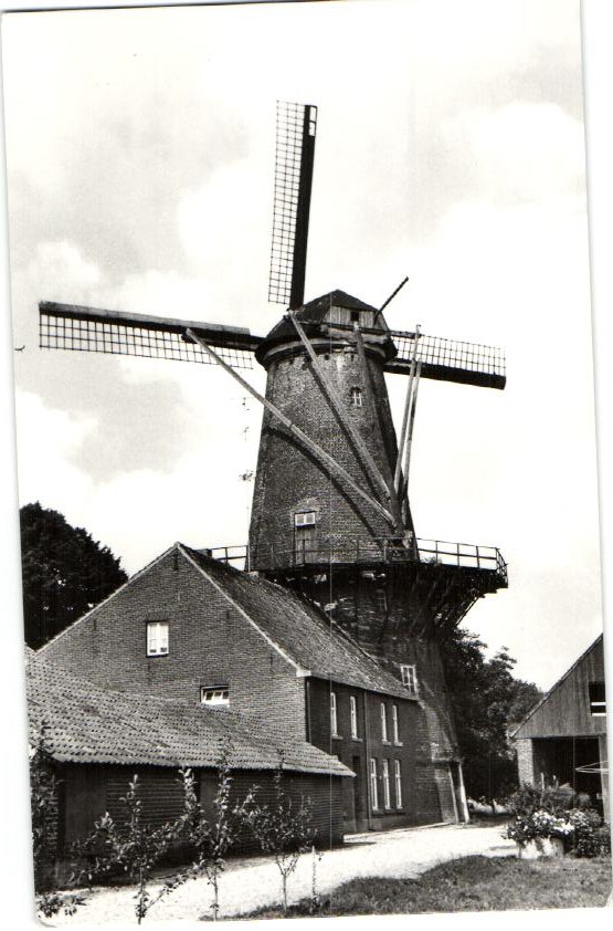 kaart