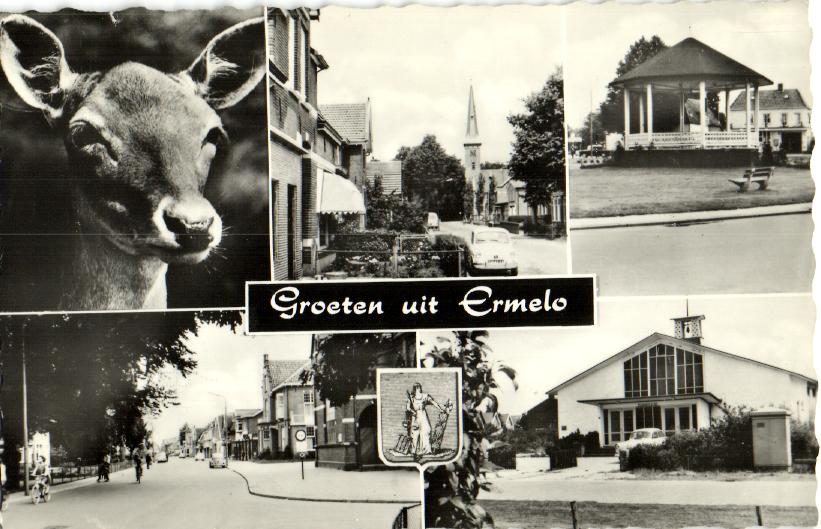 kaart