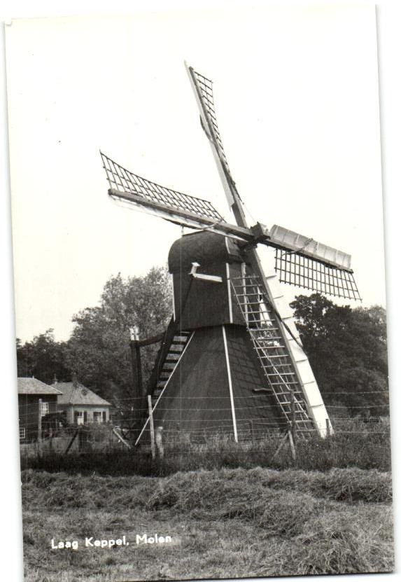 kaart
