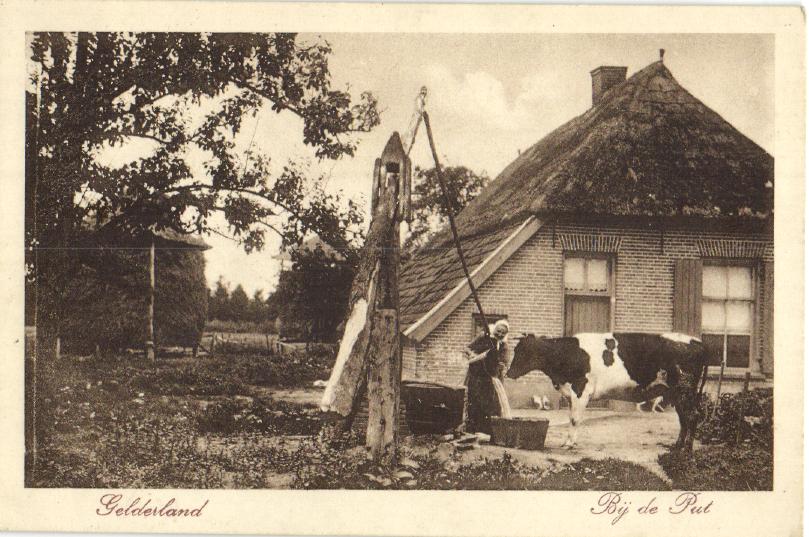 kaart
