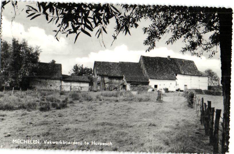 kaart