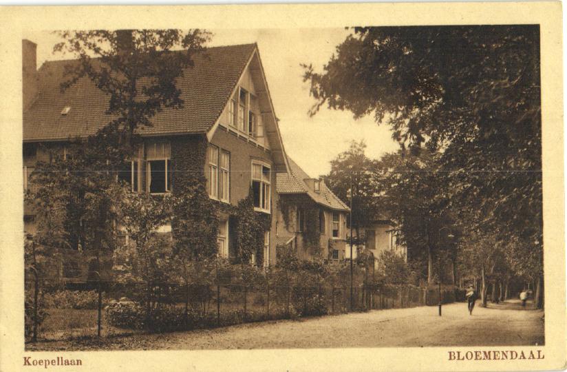 kaart
