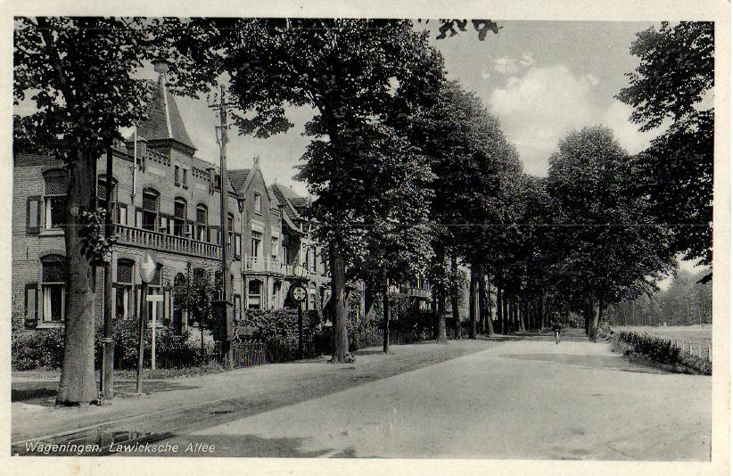 kaart