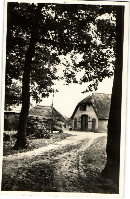 kaart