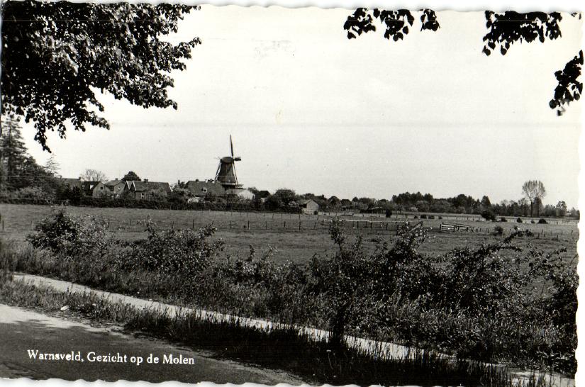 kaart
