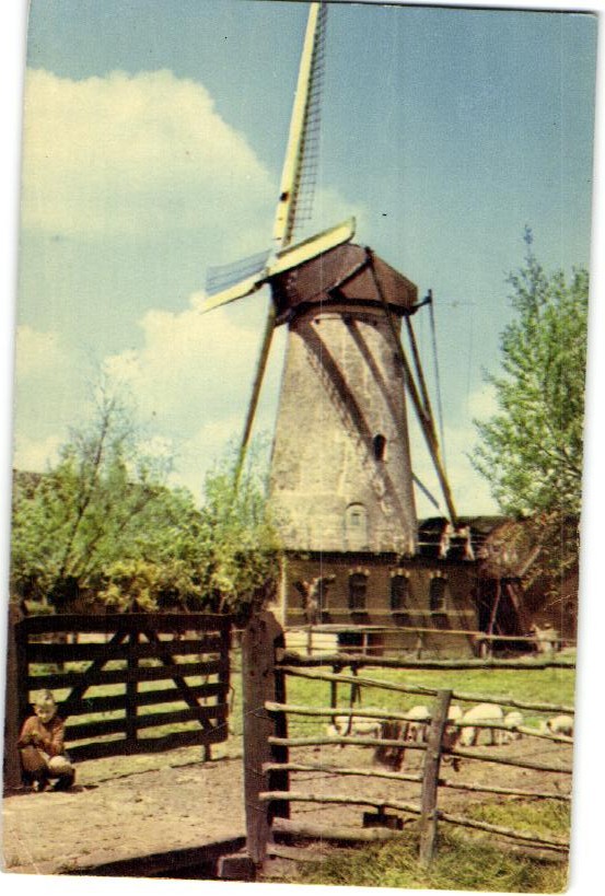 kaart