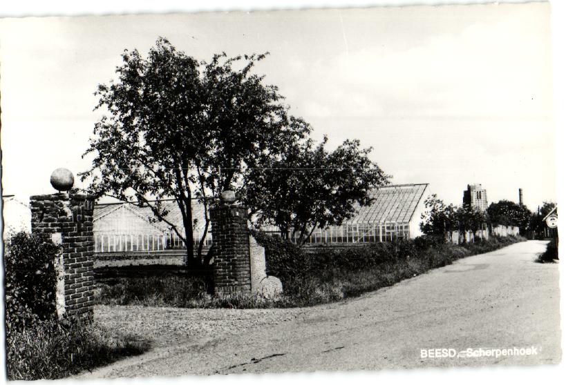 kaart