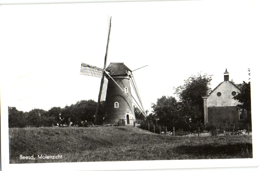 kaart