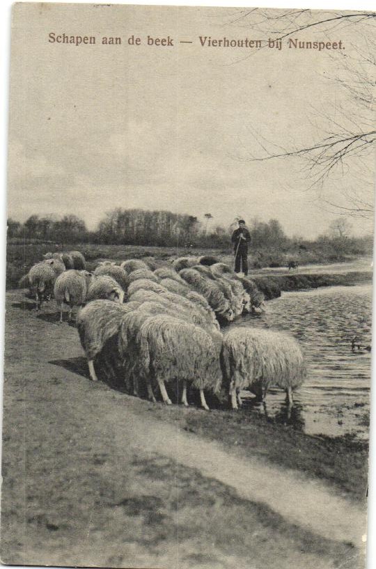 kaart