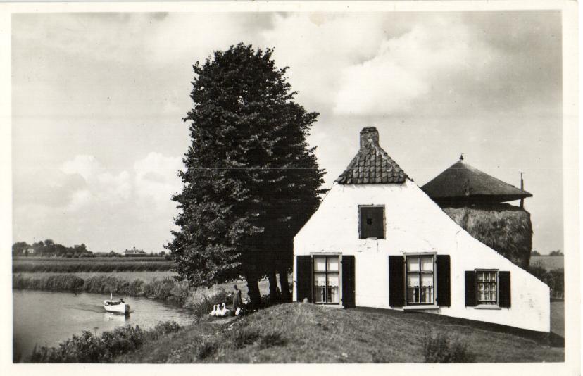 kaart