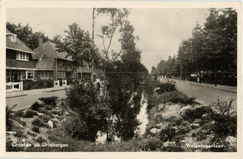 kaart