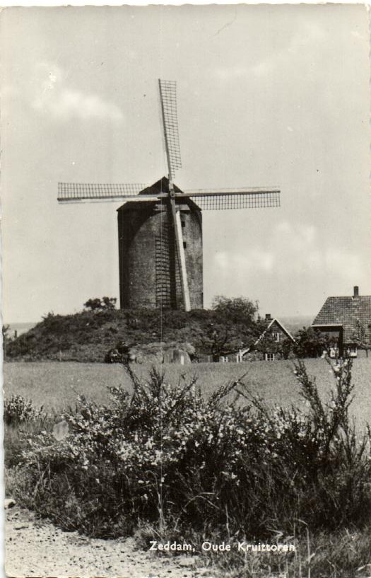 kaart
