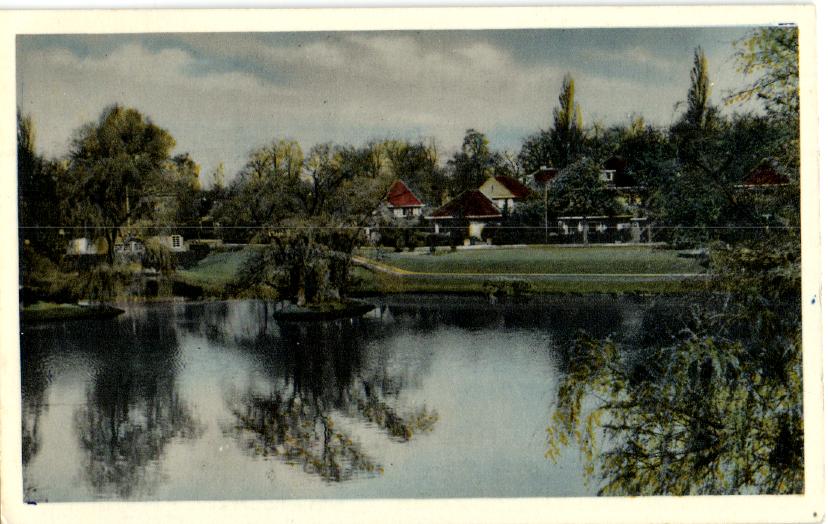 kaart