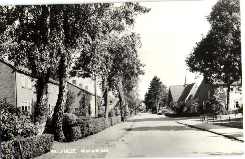 kaart