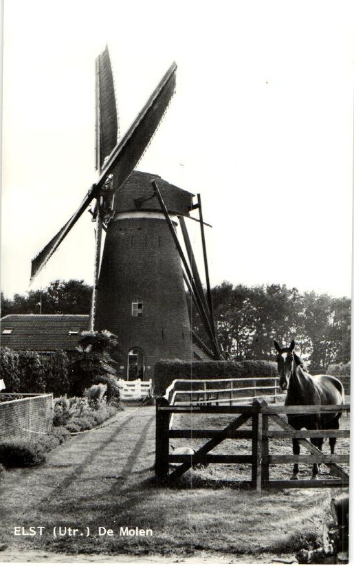 kaart