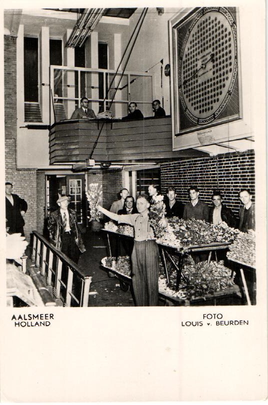 kaart