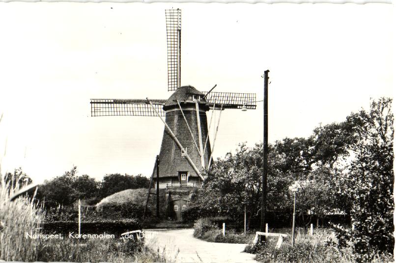 kaart