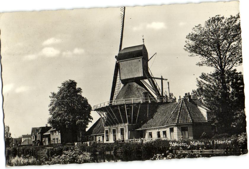 kaart