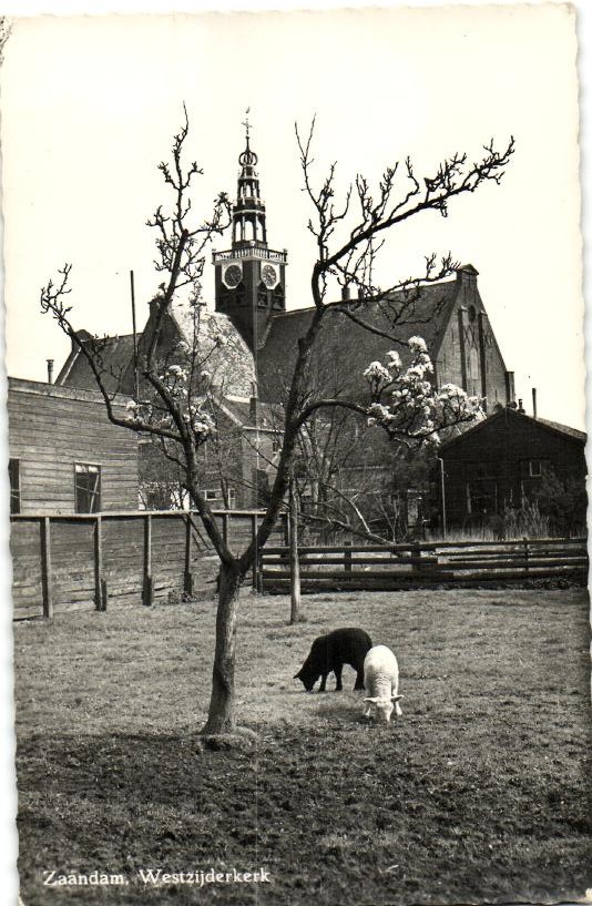 kaart